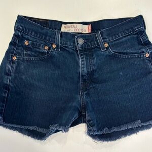 Levi's Dark Indigo Jean Shorts